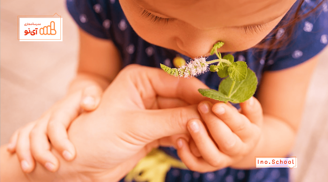 آموزش حواس پنجگانه به کودکان
