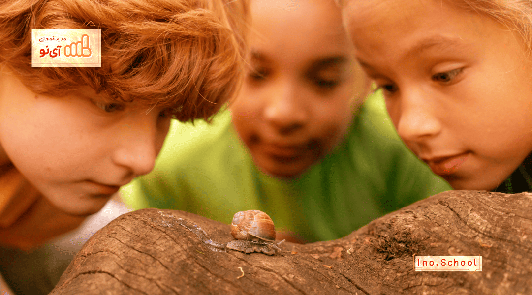 روش تدریس کاوشگری